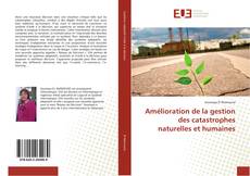 Capa do livro de Amélioration de la gestion des catastrophes naturelles et humaines 