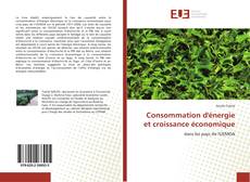 Capa do livro de Consommation d'énergie et croissance économique 