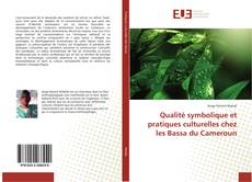 Buchcover von Qualité symbolique et pratiques culturelles chez les Bassa du Cameroun