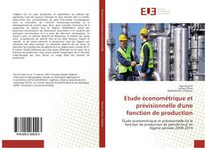 Buchcover von Etude économétrique et prévisionnelle d'une fonction de production