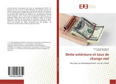 Buchcover von Dette extérieure et taux de change réel