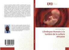 L'Embryon Humain à la lumière de la culture africaine kitap kapağı