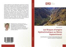 Copertina di Les Risques d’origine Hydroclimatique au Maroc Septentrional.