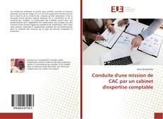 Bookcover of Conduite d'une mission de CAC par un cabinet d'expertise comptable