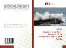 Bookcover of Épaves comme Brise-Lames et récifs écologiques pour le port Agadir
