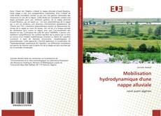 Buchcover von Mobilisation hydrodynamique d'une nappe alluviale
