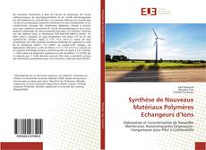 Bookcover of Synthèse de Nouveaux Matériaux Polymères Echangeurs d’Ions