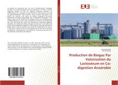 Portada del libro de Production de Biogaz Par Valorisation du Lactosérum en Co-digestion Anaérobie