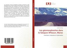 Les géomorphosites dans le Géoparc M'Goun, Maroc kitap kapağı