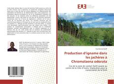 Capa do livro de Production d’igname dans les jachères à Chromolaena odorata 