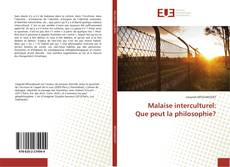 Bookcover of Malaise interculturel: Que peut la philosophie?