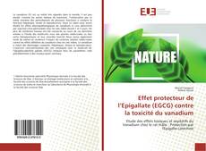 Effet protecteur de l’Epigallate (EGCG) contre la toxicité du vanadium的封面