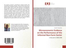 Copertina di Microeconomic Evidence on the Performance of the Informal Non-Farm Sector