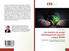 Les impacts du projet développement agricole intégré (PDAI) kitap kapağı