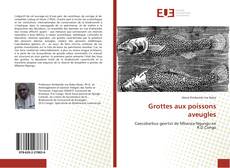 Buchcover von Grottes aux poissons aveugles
