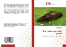 The snail Omphiscola glabra的封面