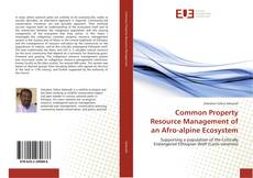 Buchcover von Common Property Resource Management of an Afro-alpine Ecosystem