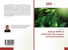 Analyse SWOT et Evaluation des impacts environnementaux kitap kapağı