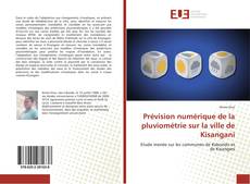 Buchcover von Prévision numérique de la pluviométrie sur la ville de Kisangani