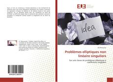 Buchcover von Problèmes elliptiques non linéaire singuliers