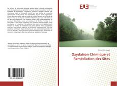 Borítókép a  Oxydation Chimique et Remédiation des Sites - hoz