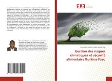 Copertina di Gestion des risques climatiques et sécurité alimentaire Burkina Faso