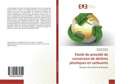 Capa do livro de Etude de procédé de conversion de déchets plastiques en carbuants 