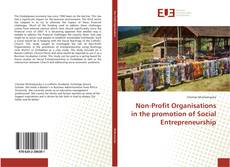 Copertina di Non-Profit Organisations in the promotion of Social Entrepreneurship