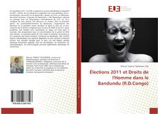 Élections 2011 et Droits de l'Homme dans le Bandundu (R.D.Congo)的封面