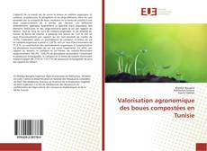 Bookcover of Valorisation agronomique des boues compostées en Tunisie
