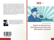 Bookcover of Nature et rôle de haut-fond découvrant dans une délimitation maritime
