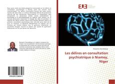 Capa do livro de Les délires en consultation psychiatrique à Niamey, Niger 