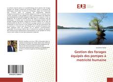 Bookcover of Gestion des forages équipés des pompes à motricité humaine