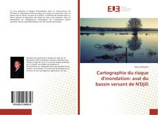 Portada del libro de Cartographie du risque d'inondation: aval du bassin versant de N'Djili