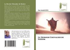 Bookcover of Le Dernier Chevalier de Sodom