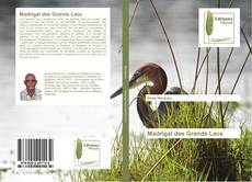 Buchcover von Madrigal des Grands Lacs