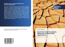 Portada del libro de Kaolinite Clay Composite Materials for Industrial Application