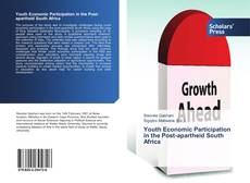 Buchcover von Youth Economic Participation in the Post-apartheid South Africa