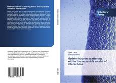 Portada del libro de Hadron-hadron scattering within the separable model of interactions