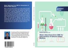 Bookcover of Water Adsorbent from SBE for Dehydration of Ethanol Water Mixture