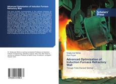Bookcover of Advanced Optimization of Induction Furnace Refractory Wall