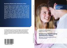 Buchcover von Examining Relationship Satisfaction Rates