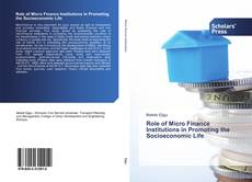 Role of Micro Finance Institutions in Promoting the Socioeconomic Life kitap kapağı