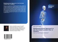 Capa do livro de Multidimensional Approach to the Herniated Lumbar Disc in Sciatica 