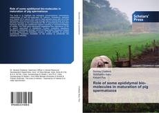 Bookcover of Role of some epididymal bio-molecules in maturation of pig spermatozoa