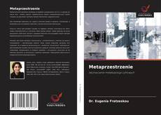 Portada del libro de Metaprzestrzenie