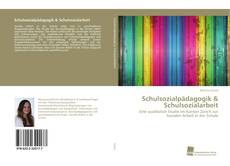Schulsozialpädagogik & Schulsozialarbeit的封面