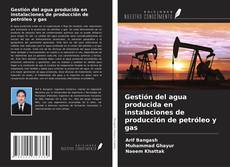 Gestión del agua producida en instalaciones de producción de petróleo y gas的封面