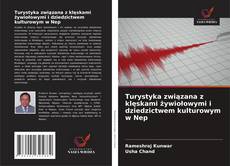 Copertina di Turystyka związana z klęskami żywiołowymi i dziedzictwem kulturowym w Nep