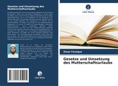 Gesetze und Umsetzung des Mutterschaftsurlaubs kitap kapağı